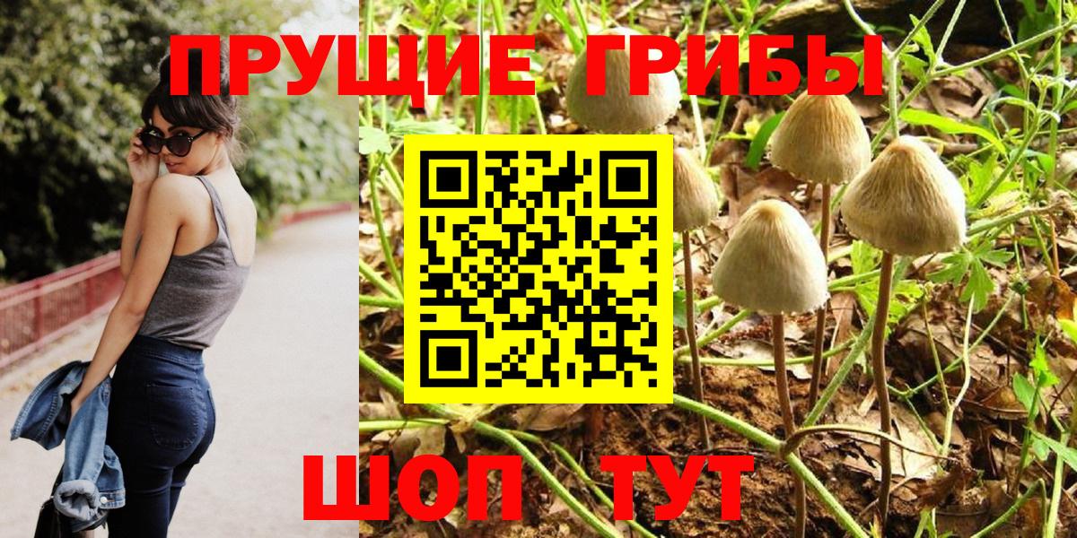 Новочебоксарск  Псилоцибиновые грибы Psilocybine cubensis  где можно купить   Вход с VPN 